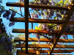 -南通博物苑-崇川人民公园