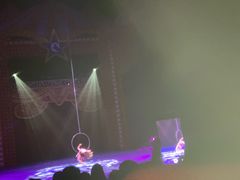 -珠海横琴长隆《卡卡虎奇遇记》