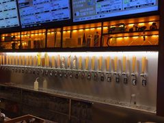 -麦落精酿啤酒餐吧(先农大院店)