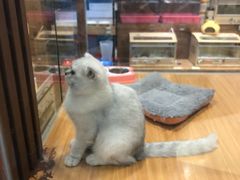 -龟与熊猫宠物公园(南坪店)