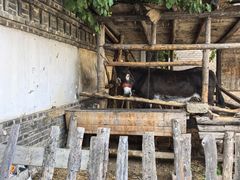 -清风小镇闯关东影视基地
