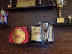 -臻元搏击格斗泰拳拳馆(港隆店)