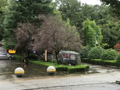 -武侯墓风景区