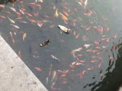 -重元寺香积厨素斋馆