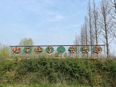 -前小桔亲子创意农场·草莓采摘·露营烧烤