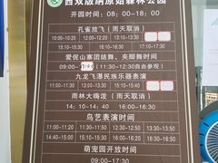 -西双版纳原始森林公园