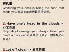 -引领英语·成人口语·雅思托福