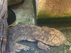 -谷咖啡·鲜花绿植花园餐厅