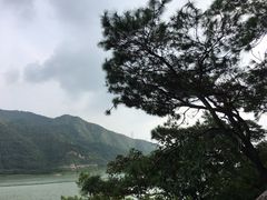 -羚羊峡古栈道森林公园
