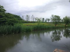 -新江湾城公园