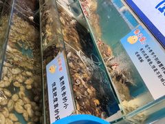 -仙螺岛海鲜自助餐厅(总店)