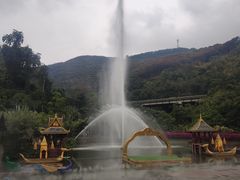 -西双版纳原始森林公园