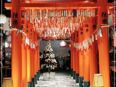 -西月山居匠心创意料理(江汉路新佳丽广场店)