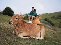 -大姆山草场