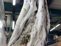 -雅憩花园餐厅