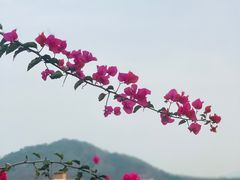 -小南山公园