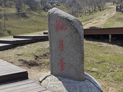 -关山草原