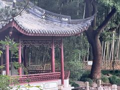 -汇龙潭