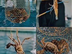 -SHRIMP CLUB万东餐饮钓虾·清吧