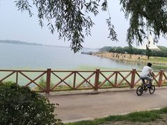 -丁香湖公园