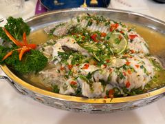 -荷花泰菜(东方新天地店)