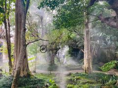 -Chom Cafe and Restaurant