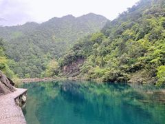 -大奇山国家森林公园