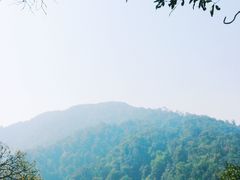 -云南屏边大围山国家公园