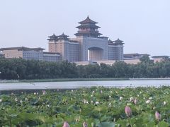 -莲花池公园