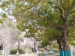 -天鹅湖体育公园