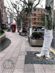 -金太子形象设计