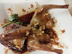 -百利鸽王(紫薇路店)