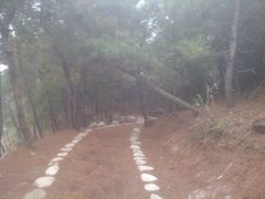 android_upload_pic-南京市无想山景区