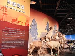 -陕西自然博物馆