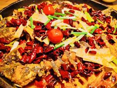 -老板恋上鱼(恒隆广场店)