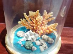 -青岛贝壳博物馆