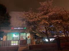 -上海南浦大桥长途旅游客运站