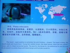 -成都浩海立方海洋公园