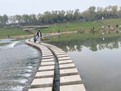 -洨河生态公园