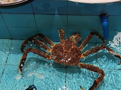 -莆鑫海鲜城(浏河店)