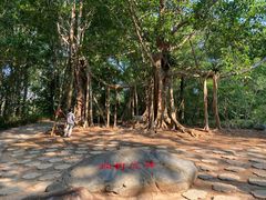-中国科学院西双版纳热带植物园