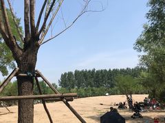 -东郊湿地公园