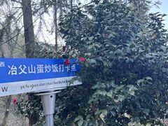-冶父山国家森林公园