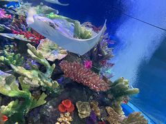 -成都浩海立方海洋公园