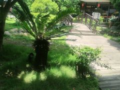 -柴米油盐(土菜院子店)