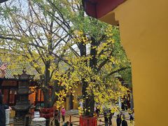 -南山风景名胜区