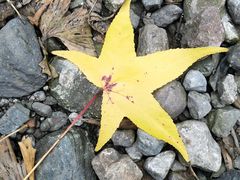 -西岭雪山大飞水景区