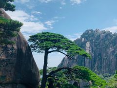 -黄山风景区