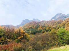 -秦岭风景区