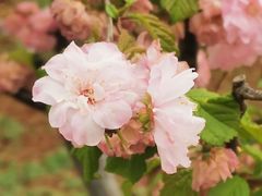-鬼笑石后山停车场